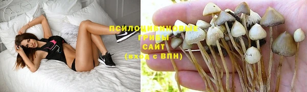 скорость Алексеевка