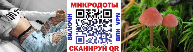 Галлюциногенные грибы Psilocybe Пушкино