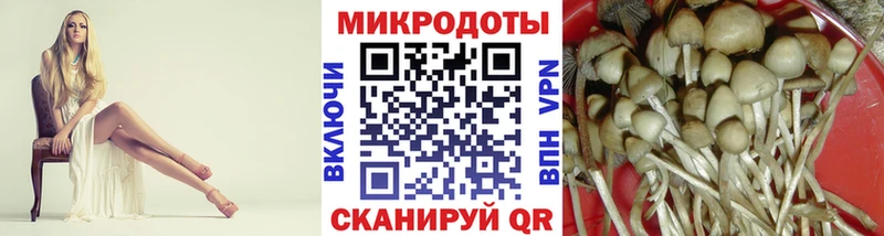 Псилоцибиновые грибы мицелий  Пушкино 
