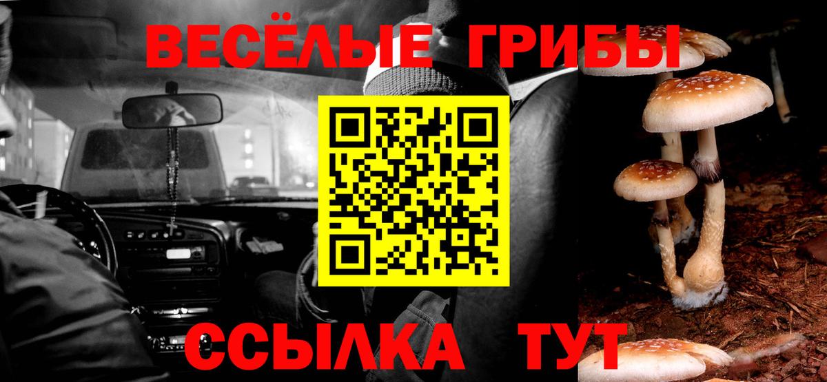 Галлюциногенные грибы Psilocybine cubensis  Вход с VPN  Пушкино 